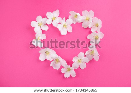 White flowers laid out in the shape of a heart on a bright pink background. The concept of spring, summer, love, holiday, Valentine's Day. Image for banner, postcards. Copyspace.