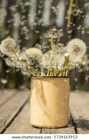 Still life with dandelions in metal cup outside on the old wooden table.Spring concept.