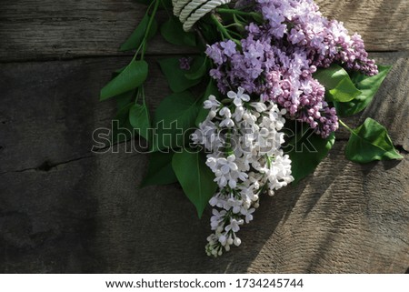 Spring flowers. Lilac flowers on old antique brown wood background. Top view, flat lay. Banner, card, poster concept. Photo on old wood
