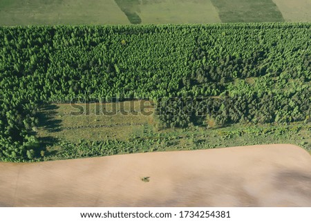 Flying over a beautiful green forest in a rural landscape. Top view of trees in forest background. Empty field. Drone photography.