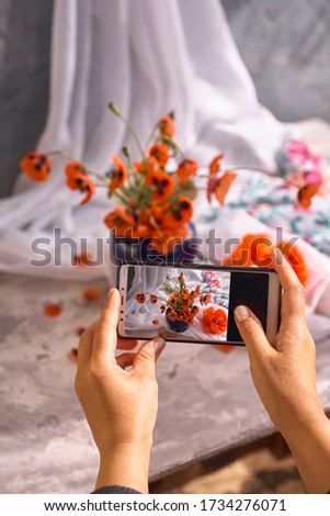 The hand holds the phone and photographs the still life of the poppies