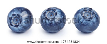 Set of three blueberries isolated on white background.