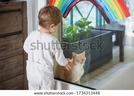 A red cat sits on the balcony during quarantine and the child wants to play with him. Rainbow on the window.