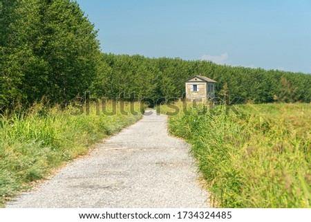 Summer landscape along the cycle path of the Po river, iin the Lodi province, Lombardy, Italy