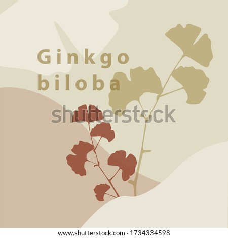 Vector temlate with ginkgo biloba leaves.