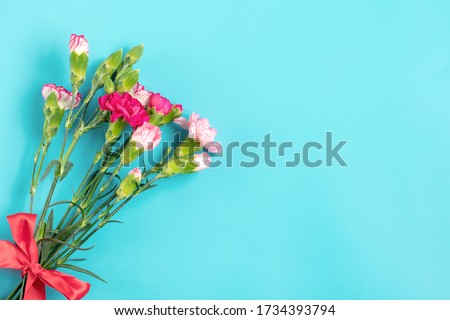 bouquet of different pink carnation flowers on blue colorful background Top view Flat lay Holiday card 8 March, Happy Valentine's day, Mother's, Women's day concept