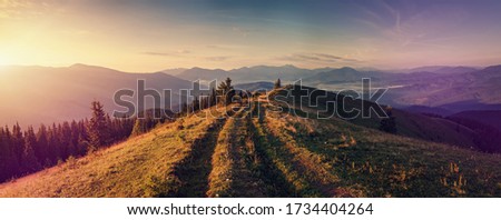 Scenic image of nature mountain landscape. stunning alpine valley with grassy, ground road during sunset. Mountain valley,  pine forest and silhouette of mountais at sunrise. Nature background photo

