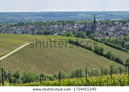 The village of Kiedrich in one of Germany's most famous wine regions - the Rheingau. The picture is taken on the "wine route" - a popular hiking trail through German wine regions.