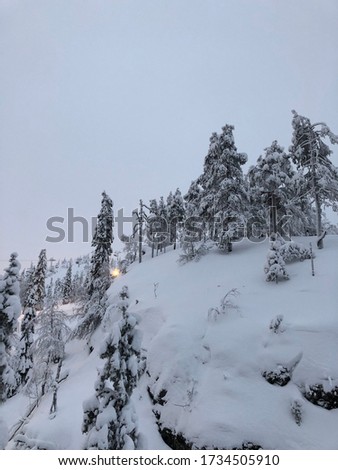 white winter in Lapland on christmas 