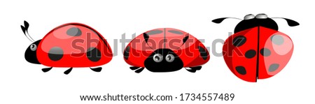 Objects set a ladybug. Vector illustration