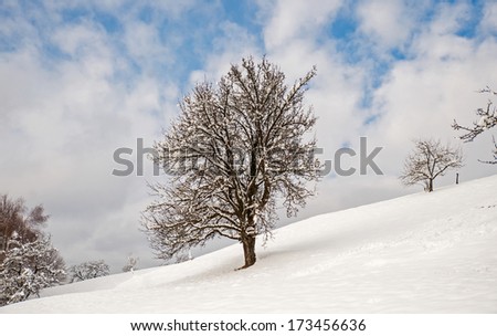 Winter land, Slovenia