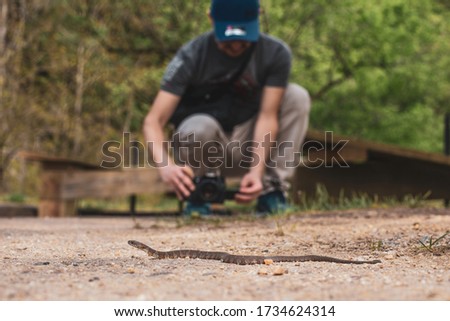 A male photographer takes a photo of a poisonous copperhead snake in Great Falls, Maryland.