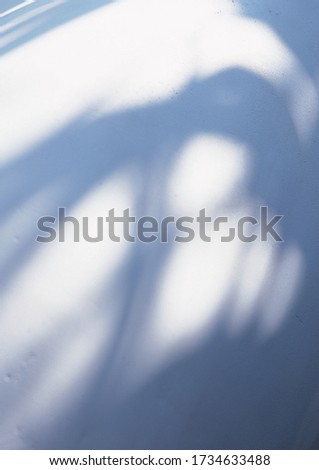 Shadowy reflection of leaves on white background  Royalty-Free Stock Photo #1734633488
