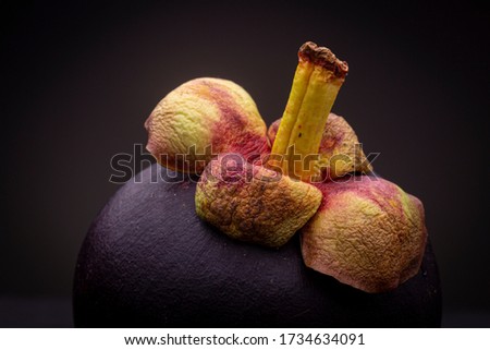Texture and detail macro shot of purplish-red exotic Mangosteen fruit delicacy. Studio low key closeup still life against a dark background