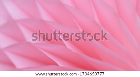 Pink abstract background with bizarre pattern. Soft lines transition light and dark shadows. Photos with soft focus.