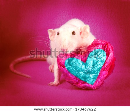 rat heart, love