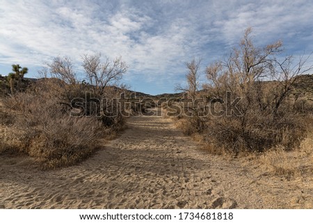 desert landscape blue sky and clouds