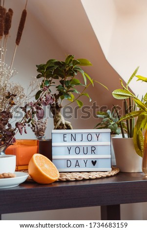 Enjoy your day message on lightbox standing on a table with cup of tea and green home plants. Cozy area for relaxing and slow living. Home gardening corner. Modern home garden interior style. Vertical