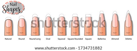 Vector isolated collection  of nail types with an inscription. Flat vector. Manicure. Oval, square, round,  shapes.   Royalty-Free Stock Photo #1734731882