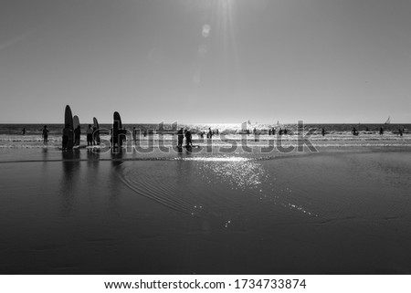 Los Angeles, USA - September 27, 2015: People are walking on Venice beach, California.