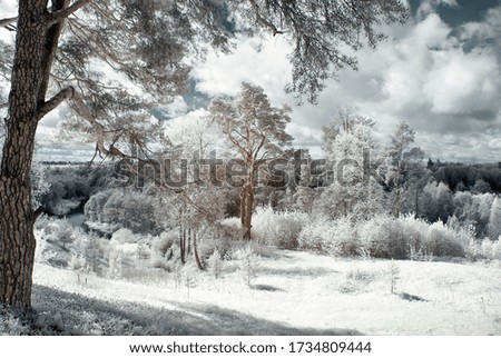 Infrared photography. Surreal landscape, amazing, beautiful trees under a fantastic sky, our beautiful world in the range of infrared camera.