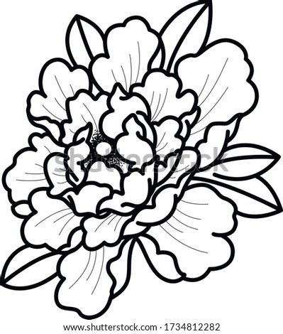 peony black and white vector graphic art