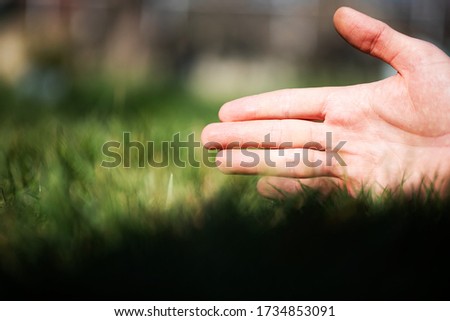 Man hand grass. Nature background. 