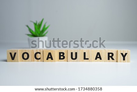 Vocabulary word on wooden cubes, english concept. Royalty-Free Stock Photo #1734880358