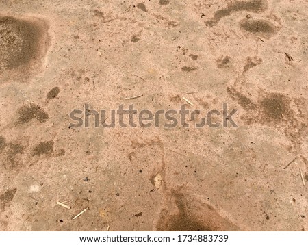 Earth floor texture surface for background abstract 