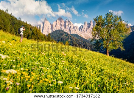 Photographer takes picture of flowering Alpine meadows around the St. Magdalena village, Italy. Stunning summer scene of Funes Valley (Villnob) with Odle Group mountains on background.