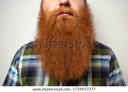 A man with a beautiful red hair and a red beard on a white background. Bearded man.