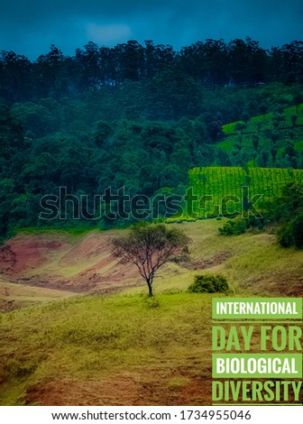 22nd May - International Day for Biological Diversity word on single tree with Isolated nature green background. International Day for Biological Diversity wording.