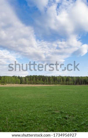 Summer landscape. Blue sky with white fluffy clouds receding into the distance, field with fresh green grass and forest on the horizon