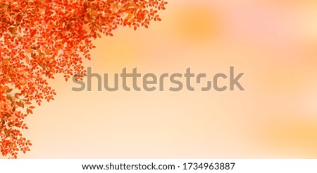 Autumn leaves Autumn light background