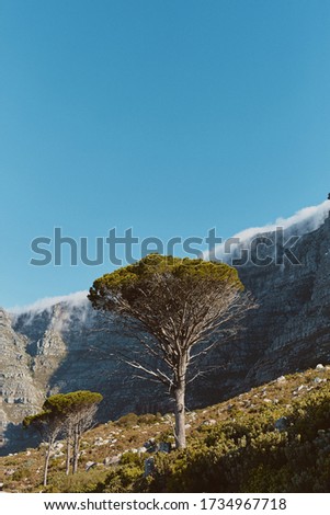 Landscape of one of the most beautiful places in the world: Cape Town, South Africa. Photos of Table Mountain and Lions Head