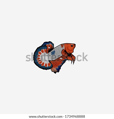 betta fish illustration, aquatic animals