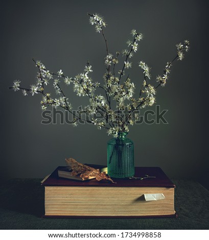 Still life with a bouquet of spring flowers and books. Minimalism. Nature.