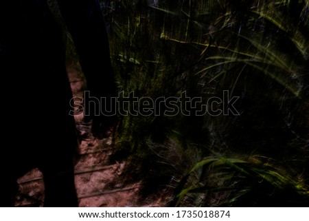 Silhouetted human figure walking on mountain trail with thick vegetation - abstract motion blurred background, texture