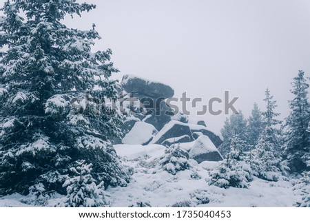 Ice-cold winter landscape with a stone massif in the Harz National Park
