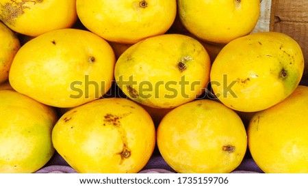 fresh mangoes from Salem yellow