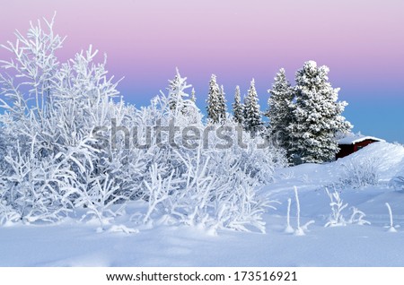 Arctic Winter Wonderland: Sunset 
Christmas / Winter / Holiday / Scandinavia / Sweden / Finland / Norway / Alaska / Canada Background - Winter Wonderland