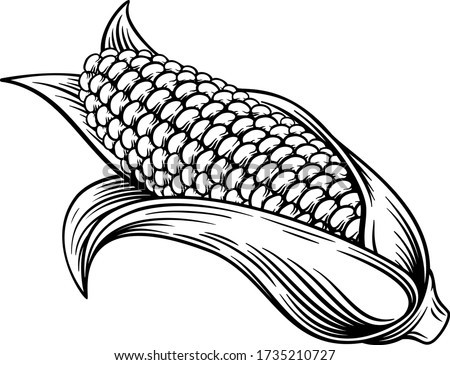 A sweet corn ear maize woodcut print or vintage etching style illustration Royalty-Free Stock Photo #1735210727
