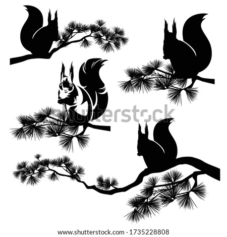 cute squirrel sitting on pine tree branch - forest wildlife black and white vector silhouette set