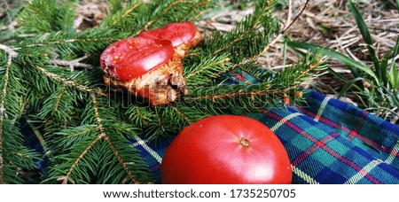 Grilled on a stone steak with vegetables, salt, tomatoes, onions, bread, on a table of fir branches