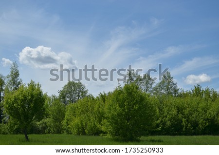 
Spring landscape. Lebedin Sumy region Ukraine.