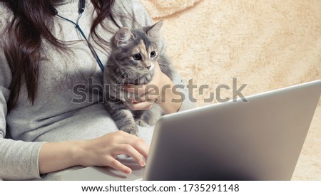 Girl working on a laptop at home on the couch with her kitten. Freelance and Remote Quarantine Concept