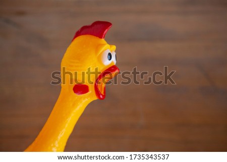 image of toy rubber chicken 