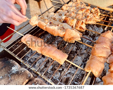 making chicken and pork barbecue on sticks , shashlyck