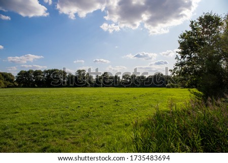 Panorama view on a field with trees and grasses with a blue sky