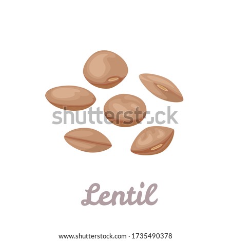 Lentils isolated on white background. Grains of brown lentils. Vector illustration of legumes in cartoon flat style. Icon. Royalty-Free Stock Photo #1735490378